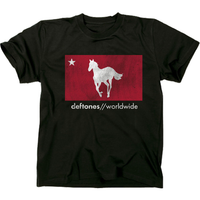 Thumbnail for Deftones Distressed White Pony Express T-Shirt